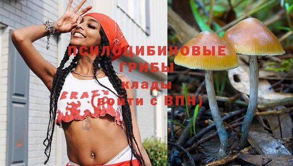 кокс Няндома