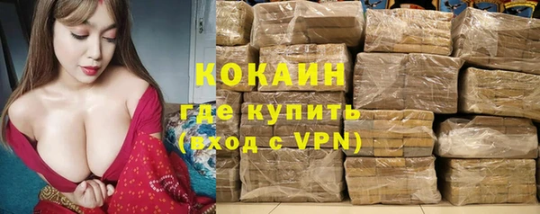 твердый Нягань