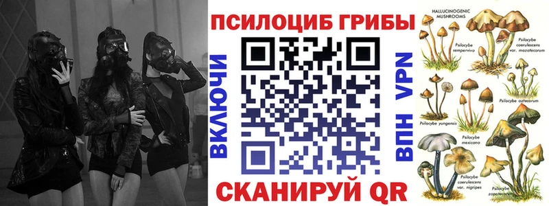 Псилоцибиновые грибы мицелий наркошоп Пойковский